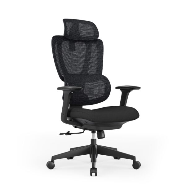 Aram ergonomic office chair front perspective