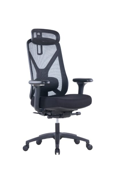 Carlos ergonomic chair front view with adjustable headrest and 2D armrests