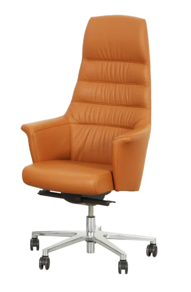 Carletto executive office chair with five-star base and castors