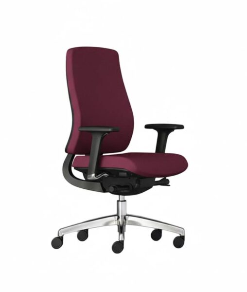 ergonomic medium-back office chair with adjustable arms and fabric finish.